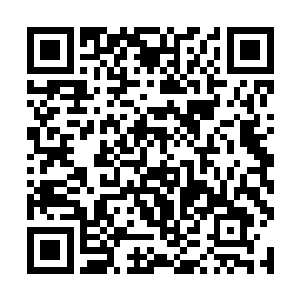 很可能意味着……他出于好意把一位友方npc给坑死了二维码生成