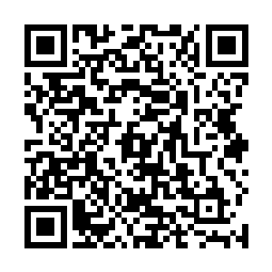 很可能是上午抓捕的陈系乱匪党羽招供了有价值的信息二维码生成