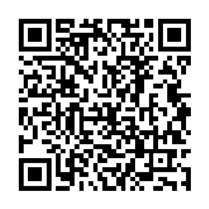 很可能这十二个远古大修士中并没有苍澜宗的修士二维码生成