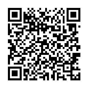 很多之前跟南国电视台有些不愉快的阿猫阿狗也跳出来捣乱二维码生成