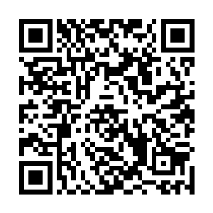 很多人甚至以为是捧山真人与齐老怪在山顶上打起来了二维码生成