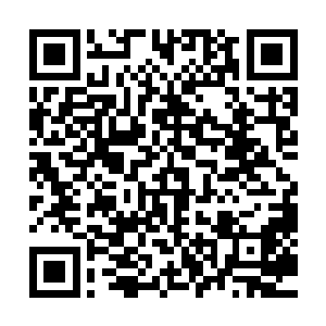 很多关注许紫烟的人此时都将目光聚集在许紫烟和巨灵的身上二维码生成