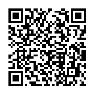 很多向这样的政府军都想用你们来向叛军换取好处二维码生成