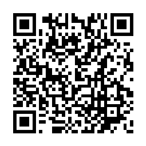 很多在广场上等候的年轻武者都和他点头打招呼二维码生成