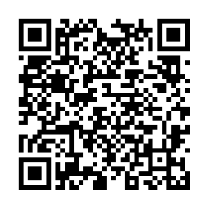 很多奴隶主并没有将那些奴隶生下的后代当一回事二维码生成