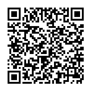 很多接受了稀奇古怪脑外科手术的人都静静躺着医疗舱里等待伤口愈合二维码生成