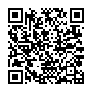 很多都在猜测信前辈和梅斯菲尔德家族的祖上有什么联系二维码生成