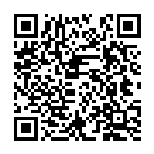 很大一部分的原因就是因为林家还有一位天仙存在二维码生成