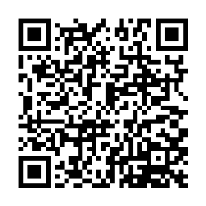 很大程度上是因为报答张小凡下午救了她母女的恩情二维码生成