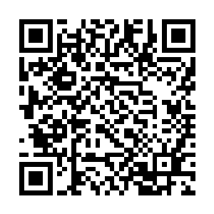 很容易受敌方仙舰仙人于扰――上次追击就仓促退回二维码生成