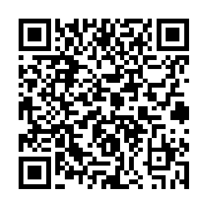 很容易的就找到了先前薄荷设计的那一款蓝宝石项链二维码生成