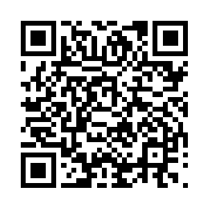 很容易让人认为这是迫不及待想过来掌权二维码生成