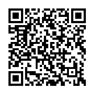 很少有人为了这样的理由就去寻找并杀死吸血鬼二维码生成