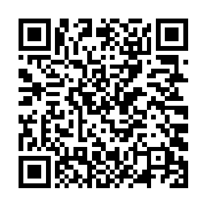 很少有人能跨位面捕捉到一条法力龙作为自己的宠物二维码生成