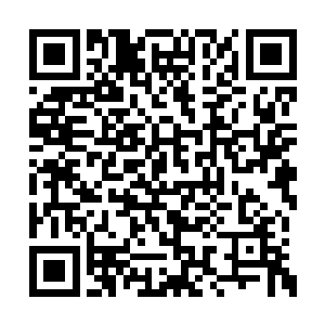 很希望妈咪和爸比两个能幸福快乐的生活在一起二维码生成