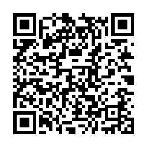 很干脆的抛出了一张手帕放在了林封谨的鼻孔旁边二维码生成