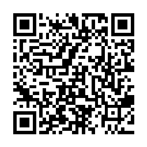 很幸运的只需要坐在观看台上看高年级的学长学姐们在跑道上二维码生成
