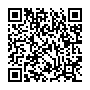 很快一个个埋设在地下的防御工事就被修筑了起来二维码生成