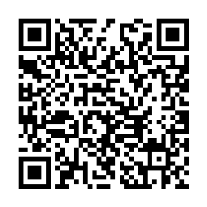 很快从墙上撬下了一颗枕头大小的椭圆形蛋状物体二维码生成