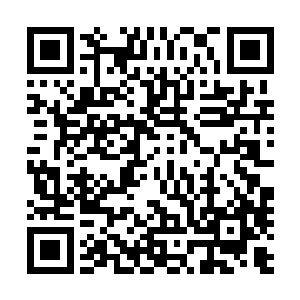 很快便听那一千数百人的白耳军团里迸发出一股惊人的声势二维码生成