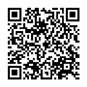 很快便将画面切到了正在己方野区打红的因赛科身上二维码生成