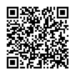 很快便见到杨开双手上亮起两道色彩不同的光芒二维码生成