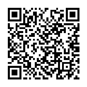 很快地幽城的实力便清楚的展现在了龙傲天的面前二维码生成