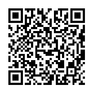 很快夏云杰便看到了半遮半掩在林木后面的bluenight酒吧二维码生成