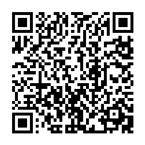 很快就在一处残垣断壁之间找到了曾和自己跌落同一道冰缝的女娲族小姑娘二维码生成