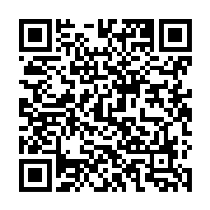 很快就有人否定了这个说法了……文森特是金属改造人二维码生成