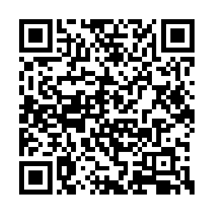 很快就有眼尖的修士从我的气息里感应到了不同二维码生成