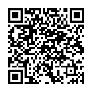 很快就直接来到了禁地的最深处的一个密室的门口二维码生成