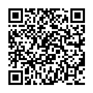 很快就飞到了这个后期能力堪称恐怖的深渊巨口身边二维码生成