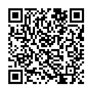 很快敏锐的察觉出土佐斗犬不为人知的悄悄后退了一些二维码生成