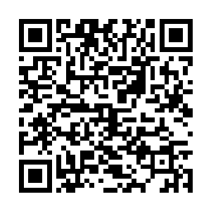 很快来到一片海底长满海草海带等水生植物的地方二维码生成