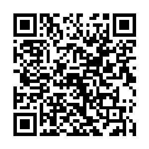 很快的就将注意力都集中在了妞妞和血魔女的战斗上面二维码生成