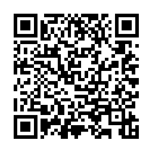 很快的肩膀上面挂着两颗星的这位也是做出来了这个决断二维码生成