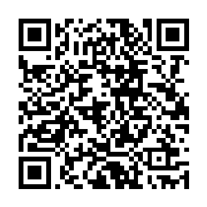 很快赤炎神蛟的目光也落到了龙傲天几个人的身上二维码生成