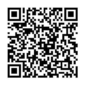 很快那个十四翼堕落天使就反映了过来然后狞笑的说道二维码生成