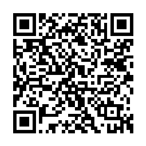 很快里面的学生陆续发现在教室外的金在珉等人二维码生成