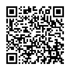 很惊讶吧……要不是我的话你早就被那蝼蚁给弄死了……二维码生成