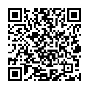 很想继续探索那一副副光怪陆离的画面和无穷无尽的过去二维码生成