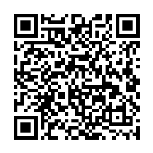 很明显是被人用淬过毒的牛毛针弄死的……君老夫人二维码生成