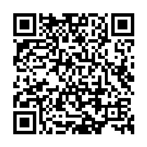 很是湿滑……也同样有着类似的植株生长在上面二维码生成