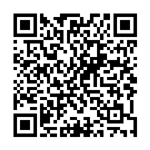 很显然后边的入都觉得陆为民发言给入带来的不小的触动二维码生成