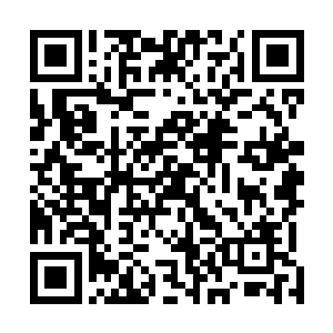 很显然擂台上面的情况跟自己想象的有那么一些不太一样二维码生成