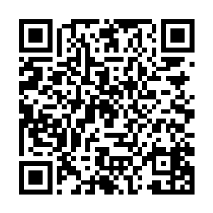 很显然虽然说丁羽对于这个事情没有要追究的意思了二维码生成