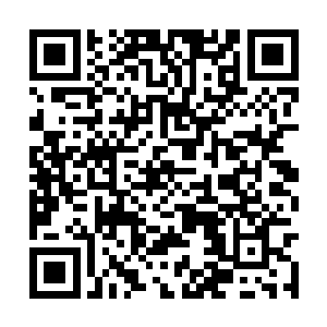 很显然那妖帝应该是跟那抢夺它宝贝的东西在一起二维码生成