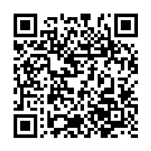 很有可能就是我师门长辈丢失的那一枚十方印法器二维码生成