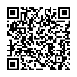 很有点儿后世网络上所说的那种御宅眼镜娘的味道二维码生成